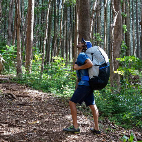 OZONE SOLOS LITE HARNESS